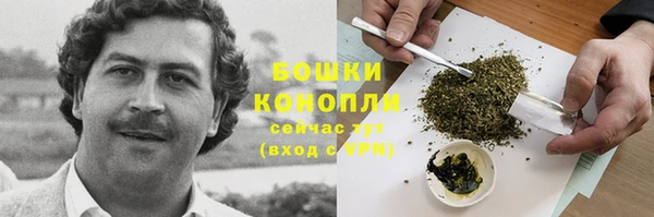 молекула духа Зеленодольск