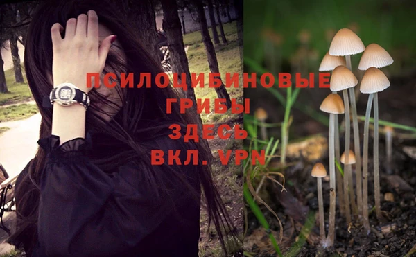 стаф Богородицк