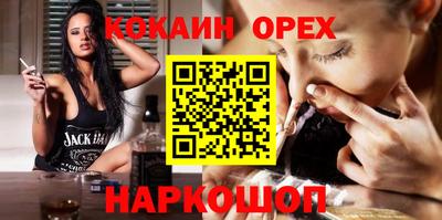дмт Кингисепп