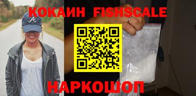 дмт Кингисепп