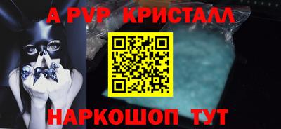 дмт Кингисепп