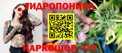 молекула духа Кинель