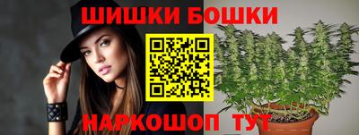 дмт Кингисепп