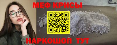 дмт Кингисепп